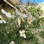Daire Avec Jardin 3 Couchages Proche Port Des Fontinettes