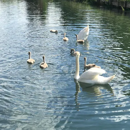 شقة Avec Jardin 3 Couchages Proche Port Des Fontinettes