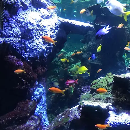 Avec Jardin 3 Couchages Proche Port Des Fontinettes شقة *