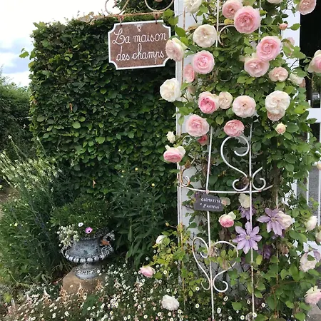 Avec Jardin 3 Couchages Proche Port Des Fontinettes