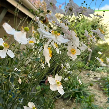 شقة Avec Jardin 3 Couchages Proche Port Des Fontinettes